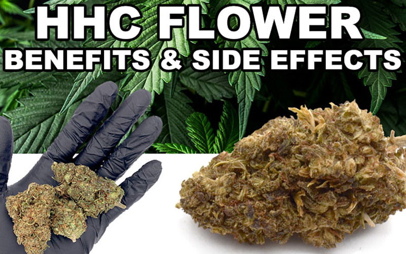 what is hhc flower