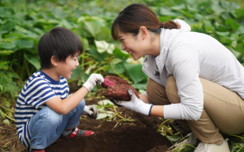 Kid-Friendly Escapes: Discovering Japan’s Family Attractions